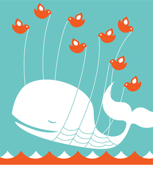 whale copy