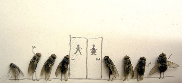 713096-dead-flies-art