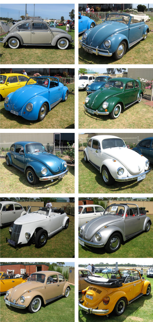 Beetle-Power-Top 100 Volkswagens