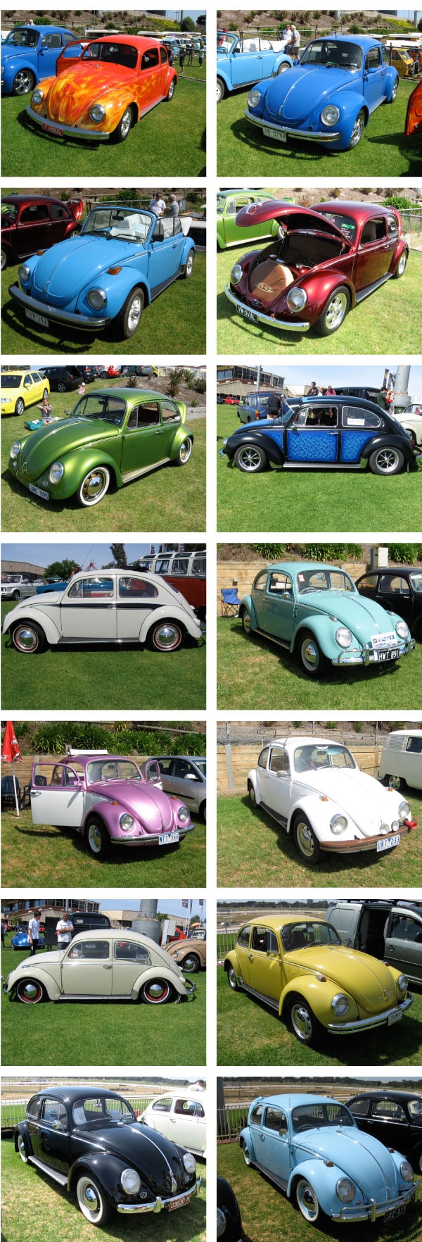 Beetle-Power1-Top 100 Volkswagens