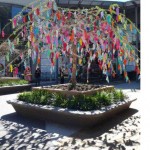 havaianas_tree