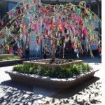 havaianas_tree