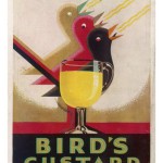 bird-s-custard