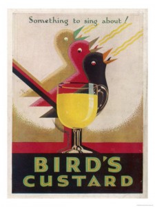 bird-s-custard