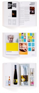 DesignNation-book-Indesign-Web-Layout