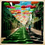 Umbrella-header-image