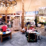 Anthropologie2