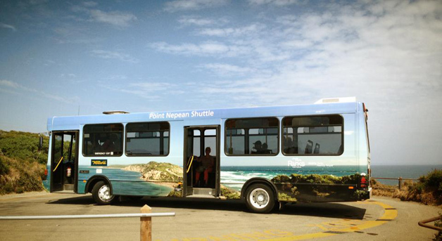 Non intentional illusion in livery design