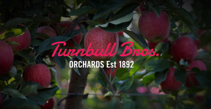 Turnbull Bros brand identity Intro Image